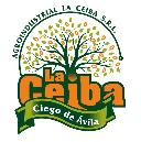 My Website Ceiba